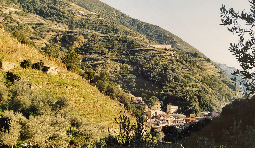 LIGUA_CASABLANCA_FOTO2