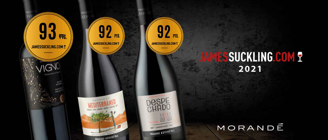 banners-todos-Morande-1280×546-1