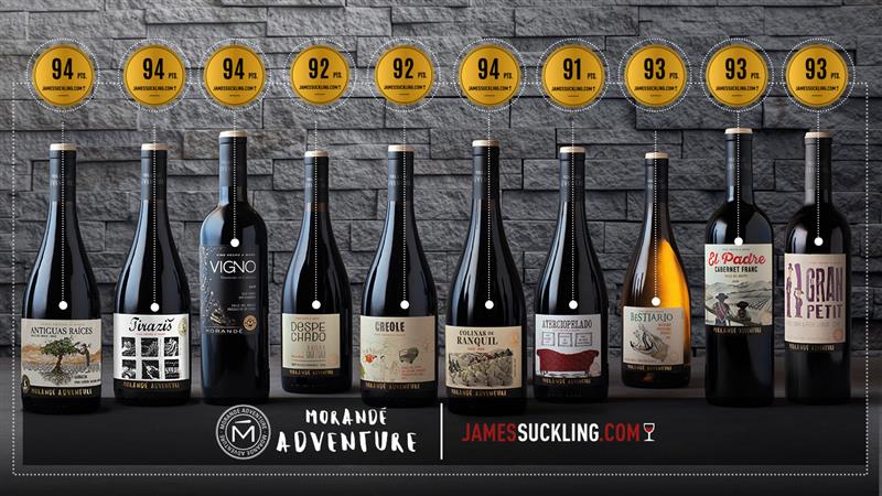 Morande-Adventure-Portafolio-JS