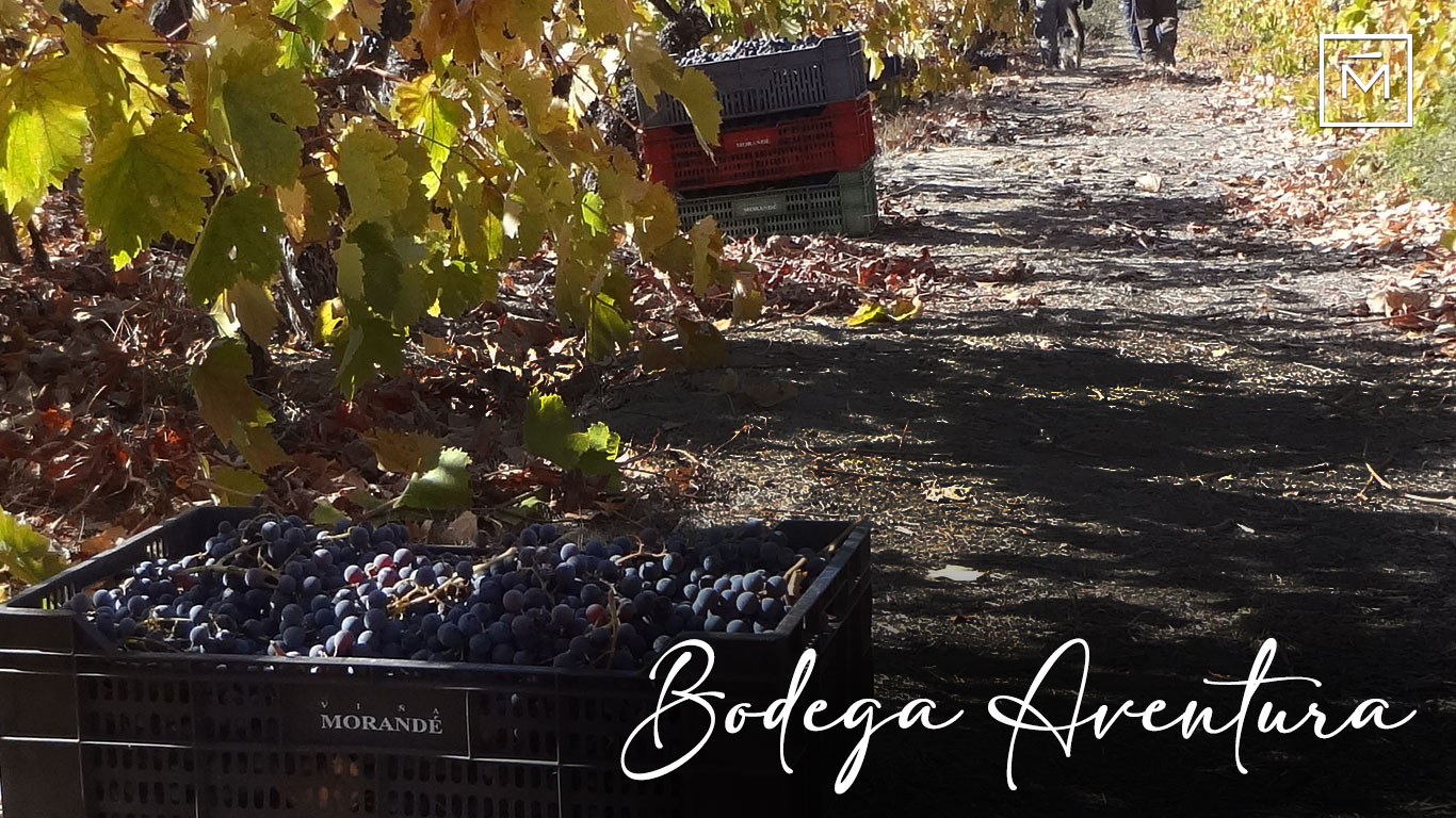 vendimia_bodegaAventura