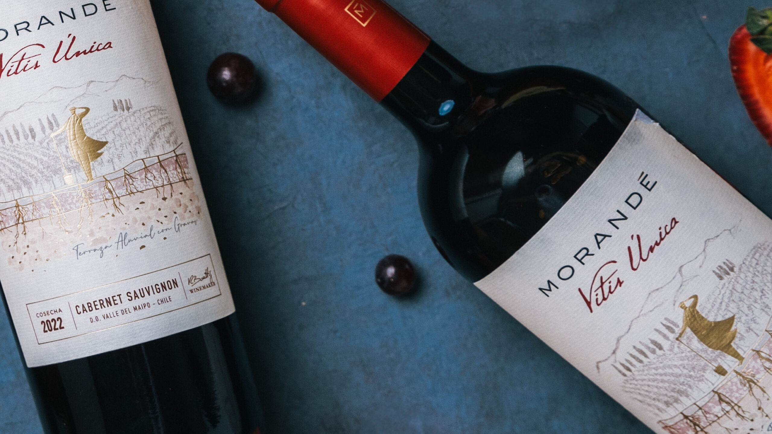 VITIS ÚNICA: UNA HISTORIA DE EXPLORACIÓN Y EXCELENCIA