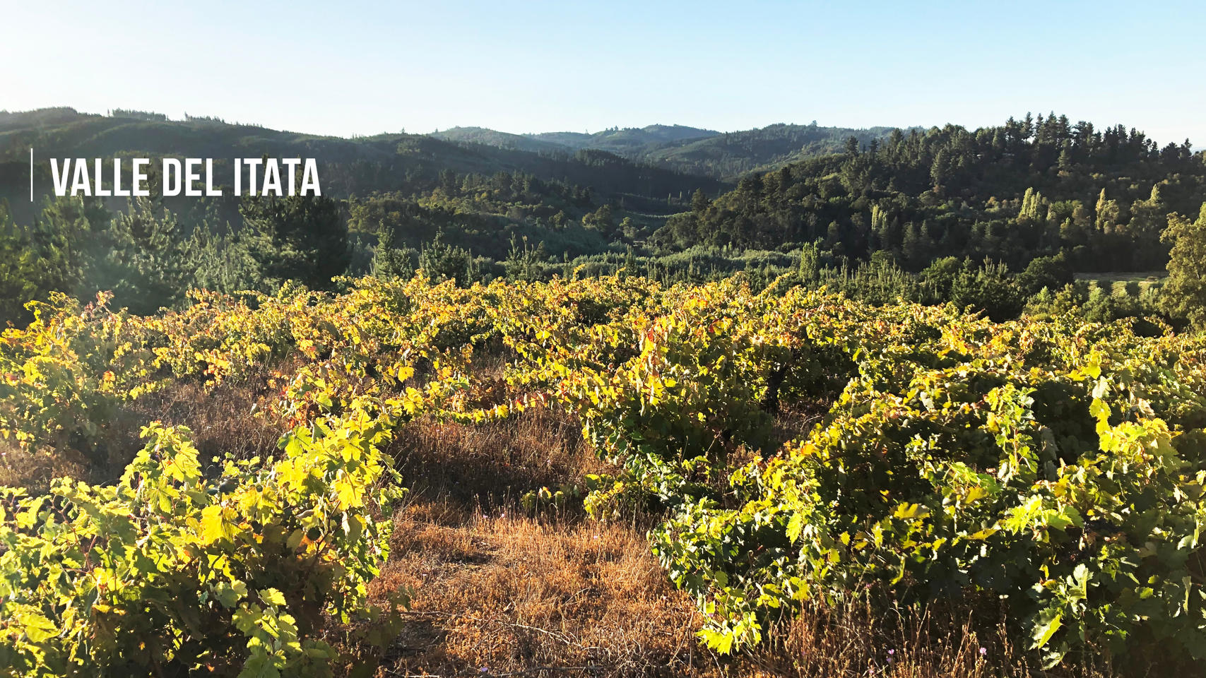 ITATA-ESP-1707×960-1