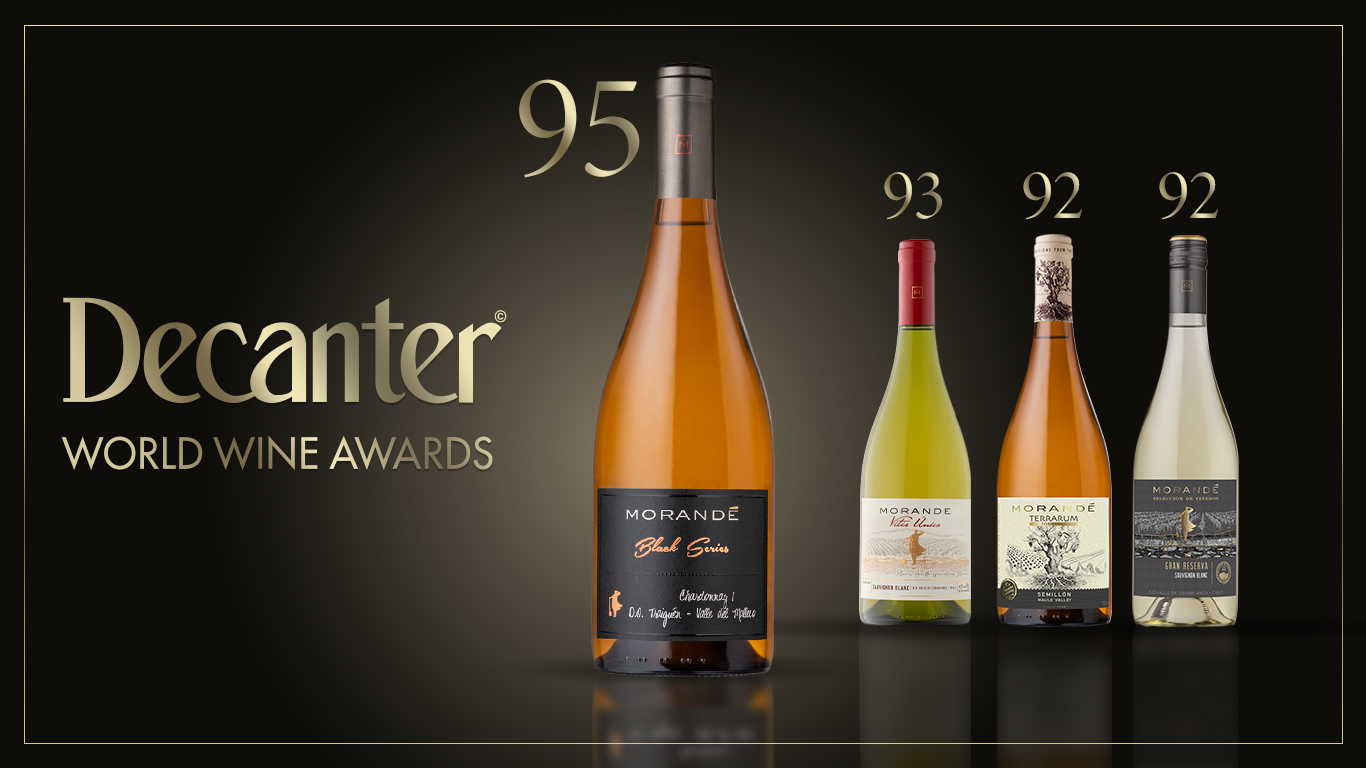 VIÑA MORANDÉ CELEBRA EXCELENTES PUNTAJES EN DECANTER WORLD WINE AWARDS 2025
