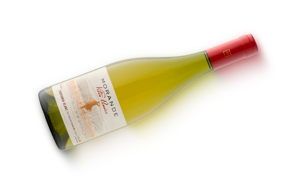 Botella de vino blanco Morandé Vita Única Sauvignon Blanc con etiqueta clara y cápsula roja.