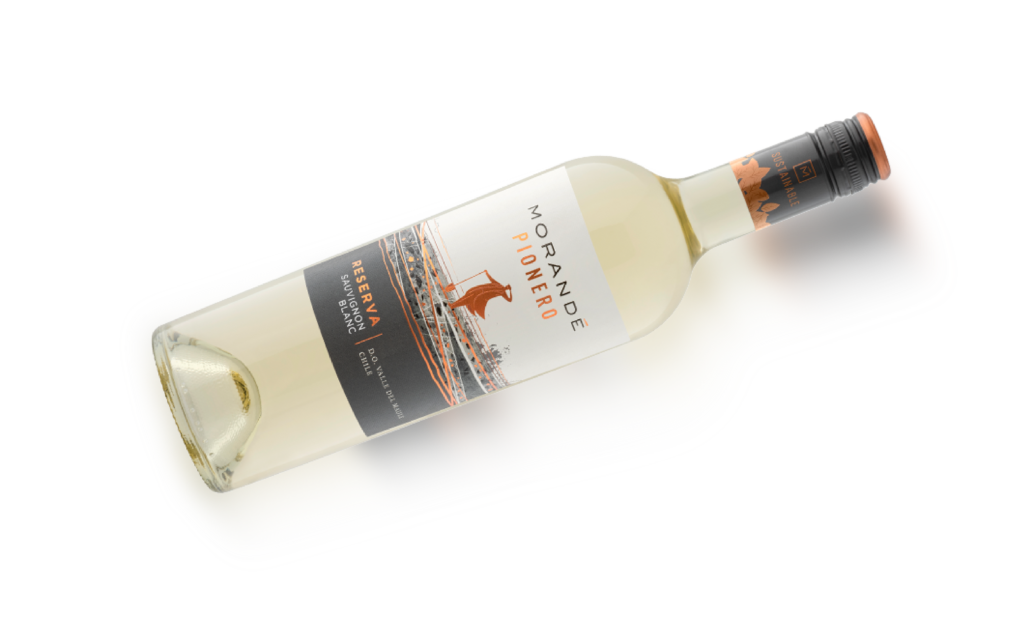 Botella de vino blanco Morandé Pionero Reserva Sauvignon Blanc, con etiqueta que destaca la denominación de origen Valle del Maipo, Chile, y cierre tipo rosca.