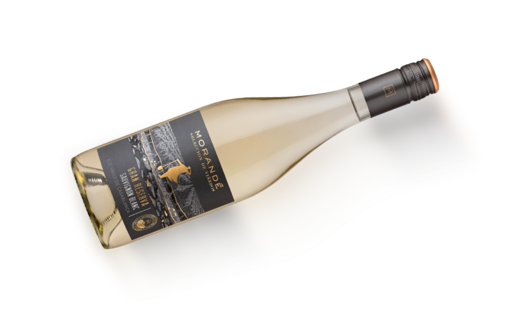 Botella de vino blanco Morandé Gran Reserva Sauvignon Blanc con cierre de rosca, etiqueta negra con detalles dorados y dibujo de paisaje vitivinícola, proveniente del Valle de Casablanca.