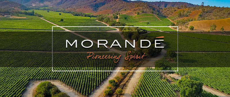 banner_MORANDE_CASABLANCA