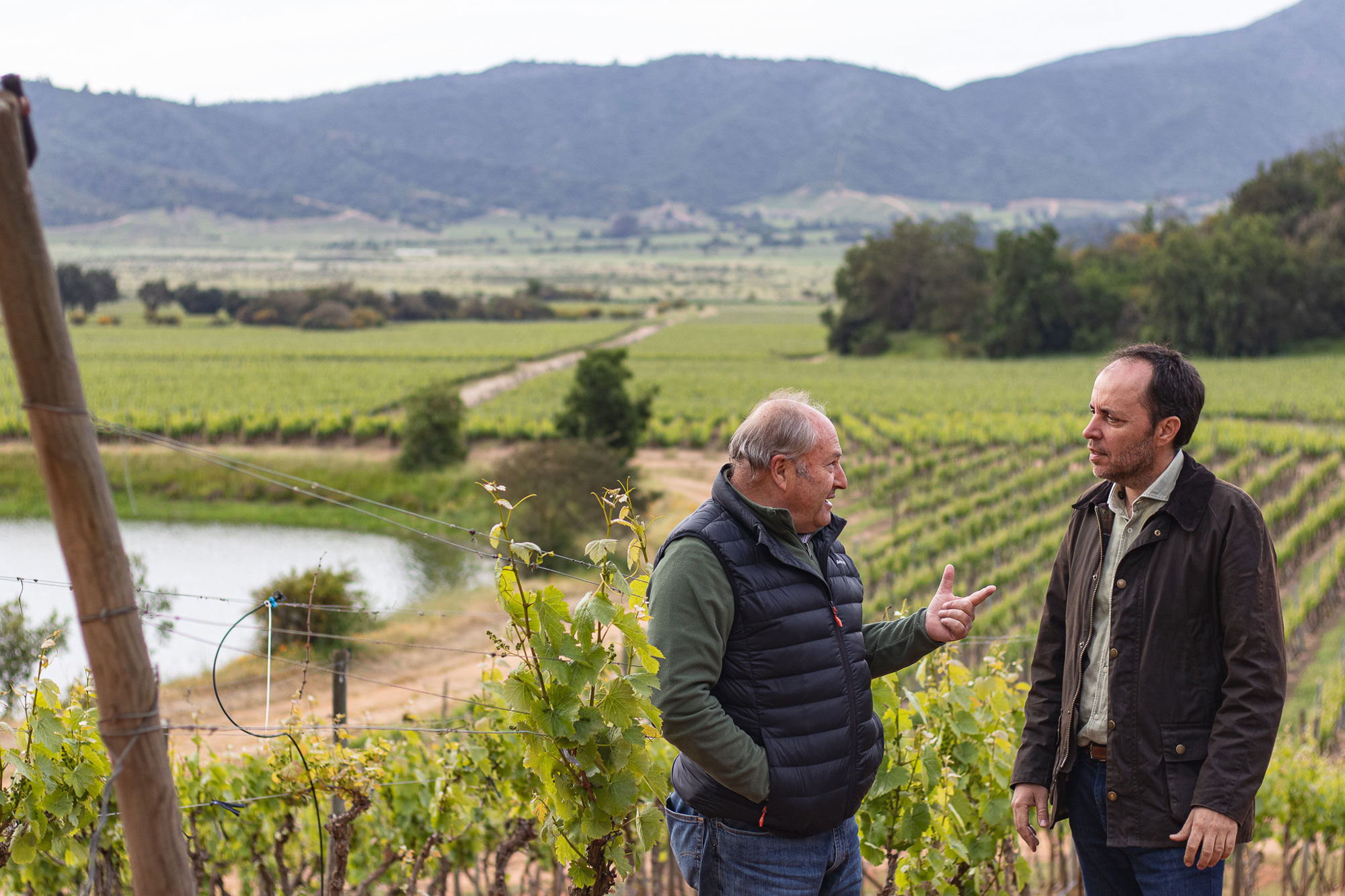 Enólogo Ricardo Baettig discurte com equipe o manejo da Malbec em Casablanca, no Chile