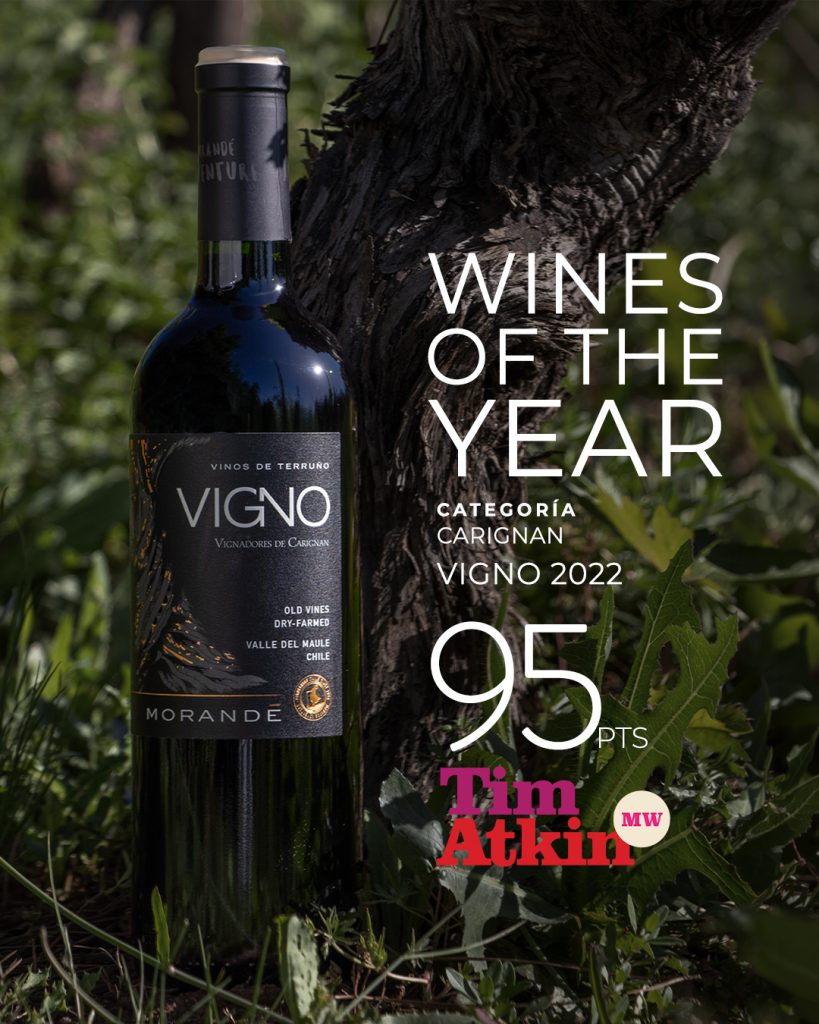 Tim Atkin Special Report Chile 2026 | Wines of The Year | Morandé VIGNO